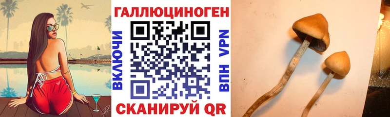 Галлюциногенные грибы мицелий дарк нет состав Щёкино где купить наркотик